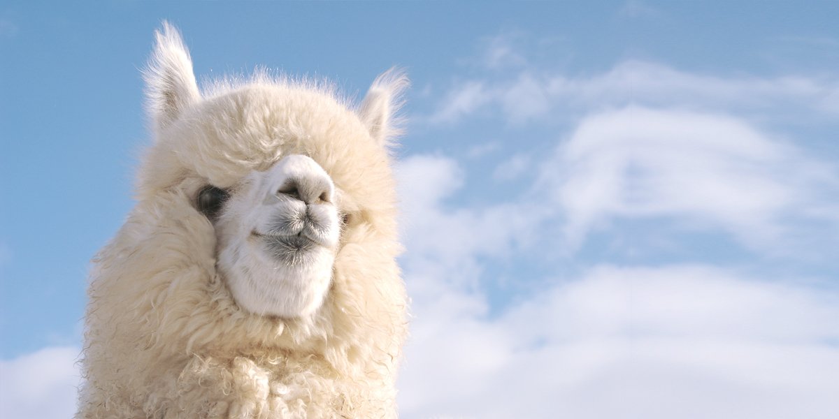 🏞️ 에코린 마을(에코린무라) 이미지 7